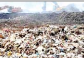 garbage